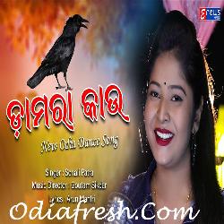 Damara Kau -Odia Masti Song